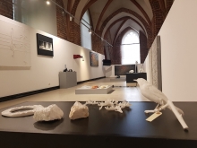 Widok wystawy, fot. MK